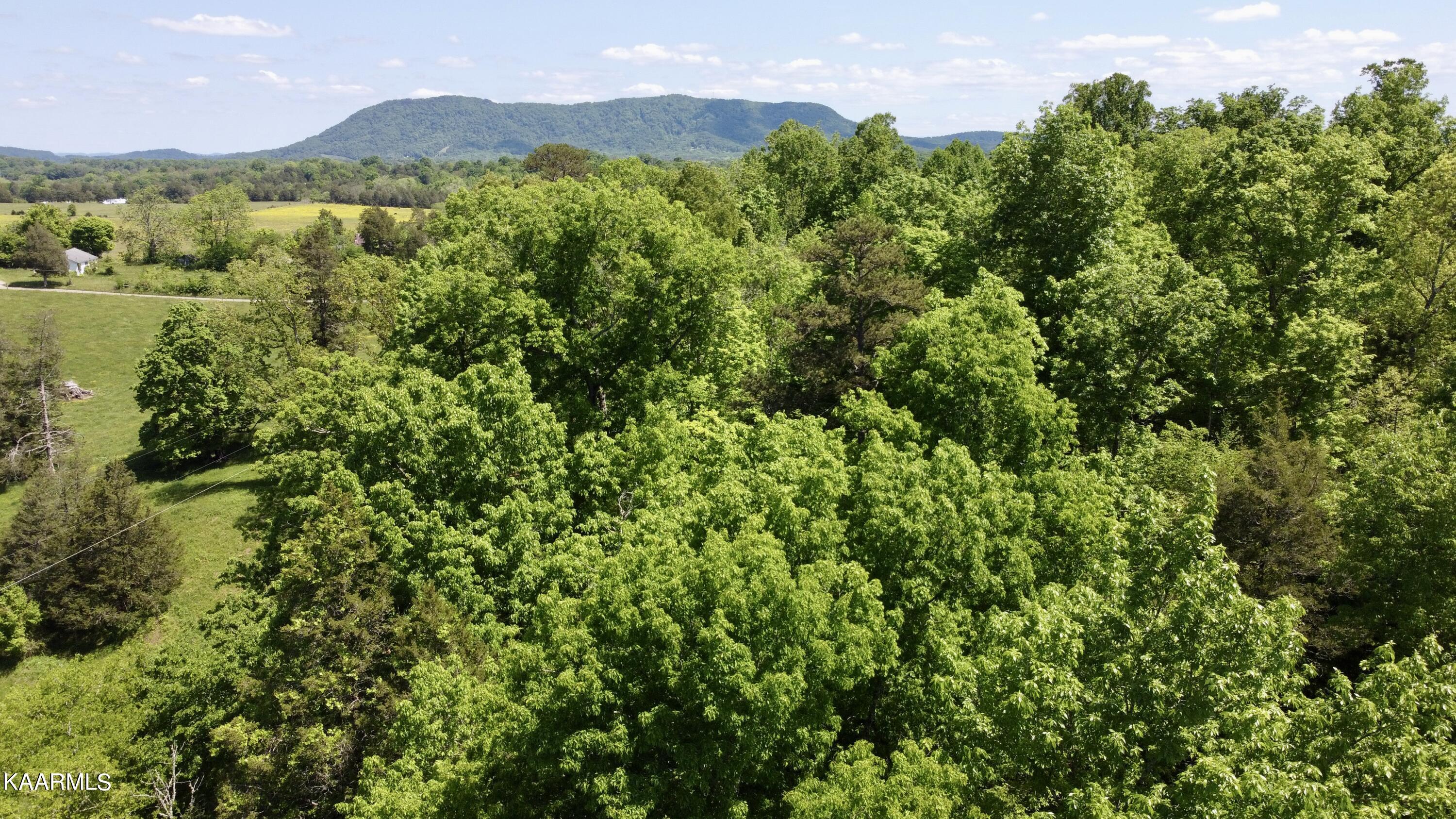 Rodger Road Corryton, TN 37721 - Photo 6 of 22 House mountain