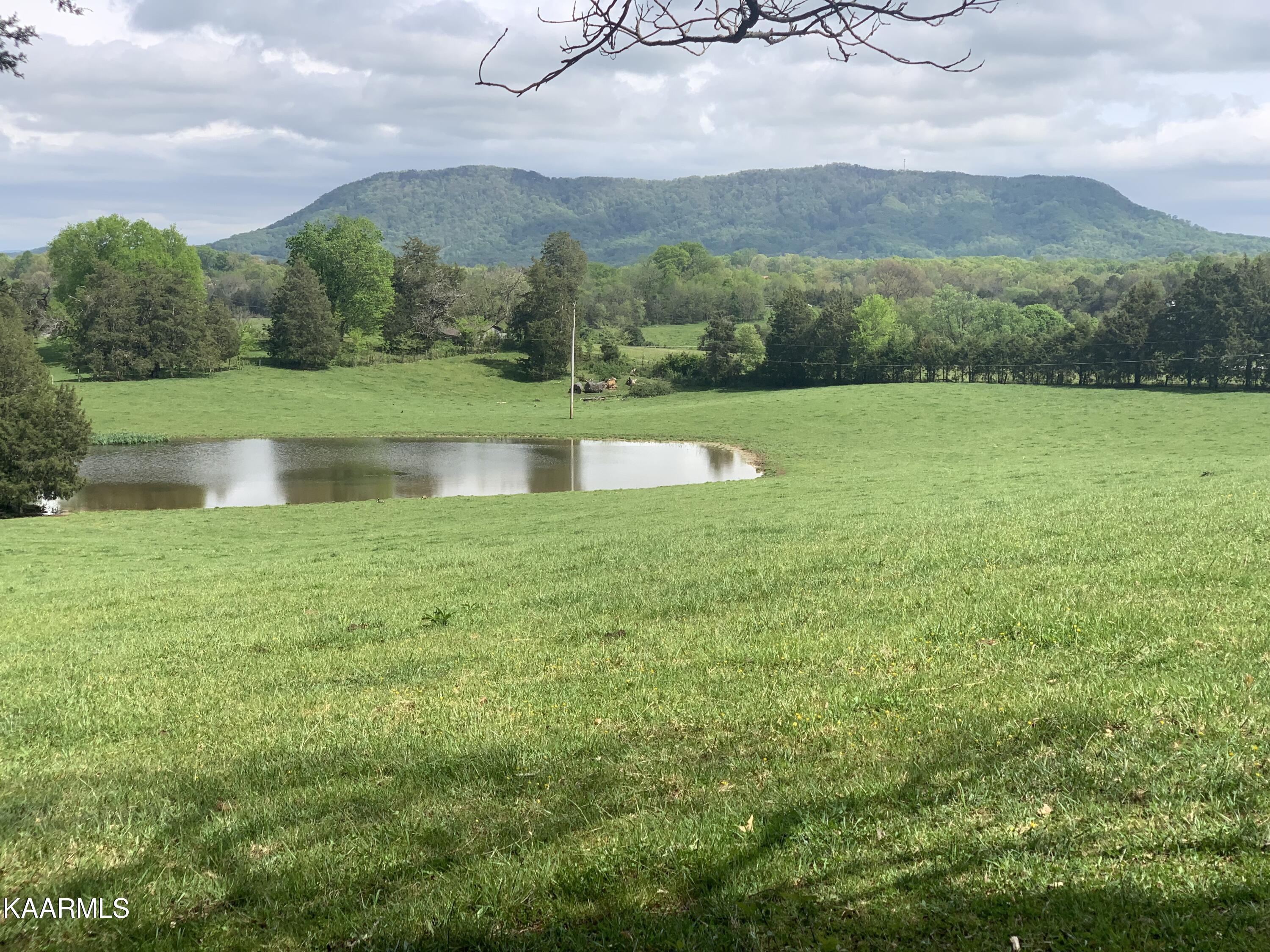Rodger Road Corryton, TN 37721 - Photo 10 of 22 Neighboring property