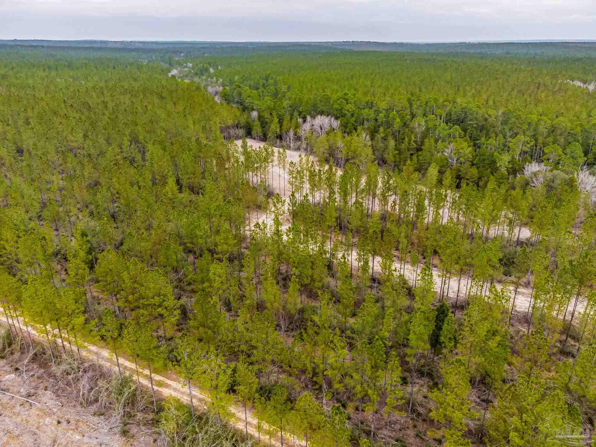9318 Indian Ford Road, Unit PARCEL B 22 45 / ACRES (APPROXIMATELY) Milton, FL 32570 - Photo 29 of 36