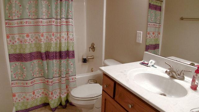 3704 Big Springs Road Lebanon, TN 37090 - Photo 9 of 20 a bathroom with a sink toilet and shower