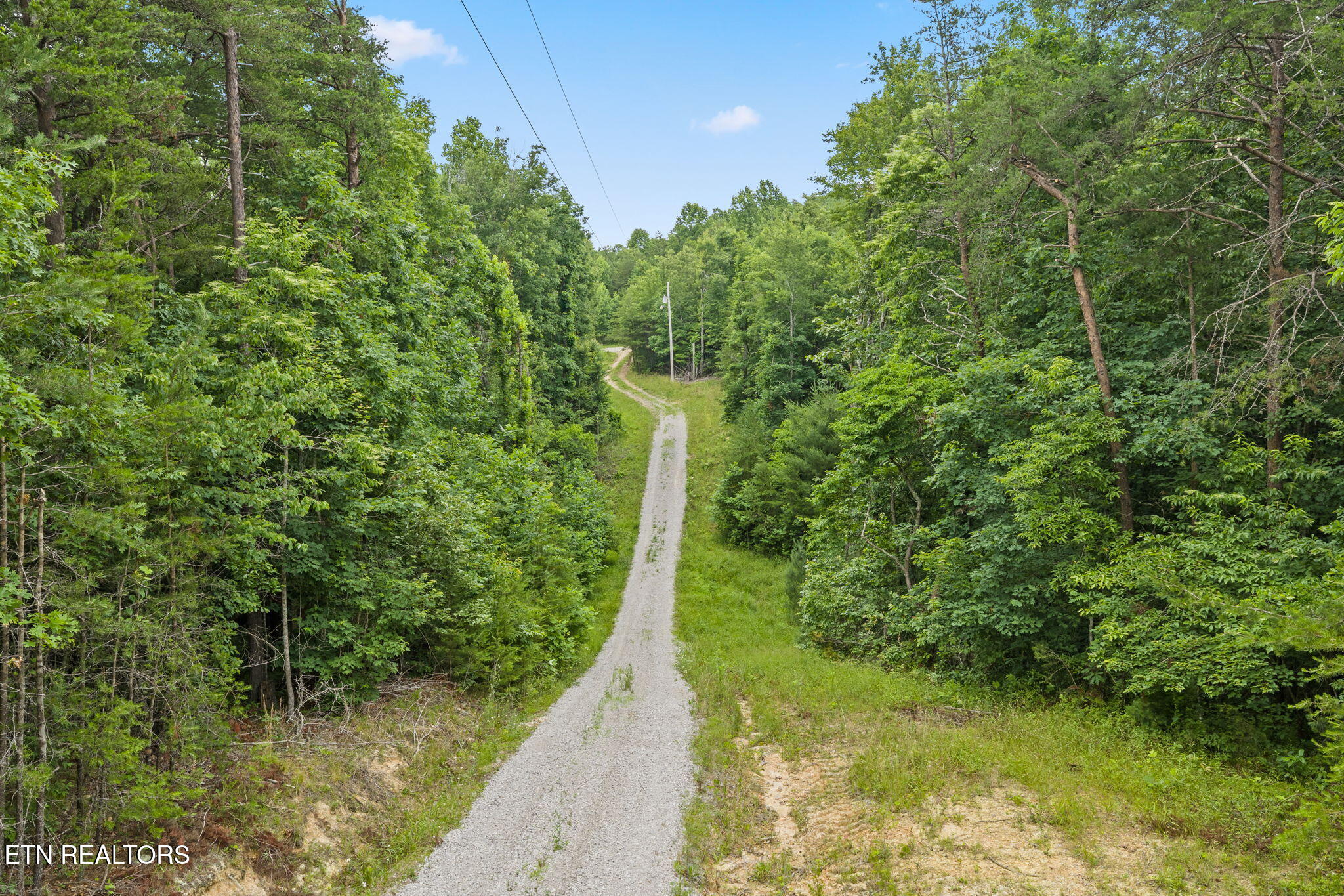 144 Charlie Jones Road Deer Lodge, TN 37726 - Photo 6 of 18 9-web-or-mls-144 charles jones--33