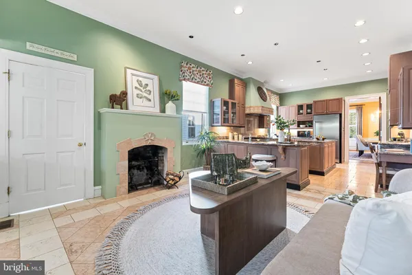 a living room with furniture a fireplace and a potted plant