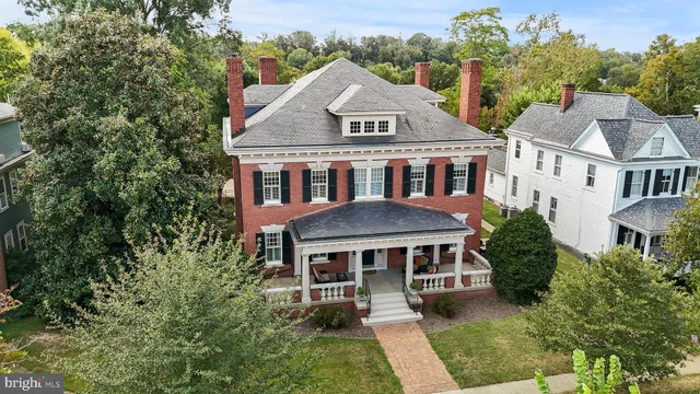 a living room with furniture a fireplace and a potted plant