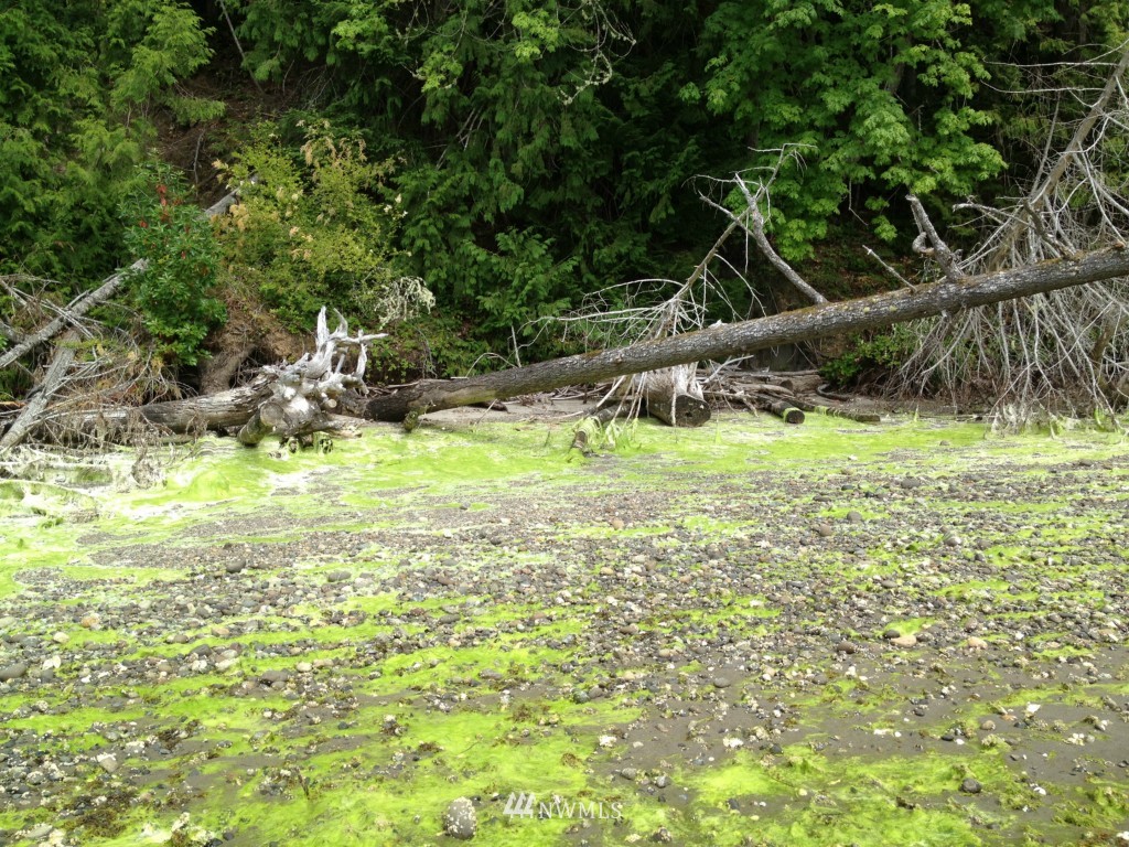 -xxx East Quilcene Road Quilcene, WA 98376 - Photo 11 of 11 Gallery Image 11