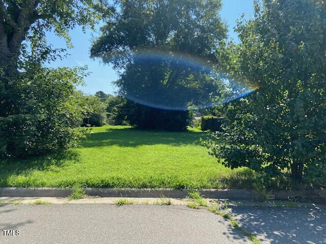 1420 John Street Roxboro, NC 27573 - Photo 2 of 2 a view of a backyard