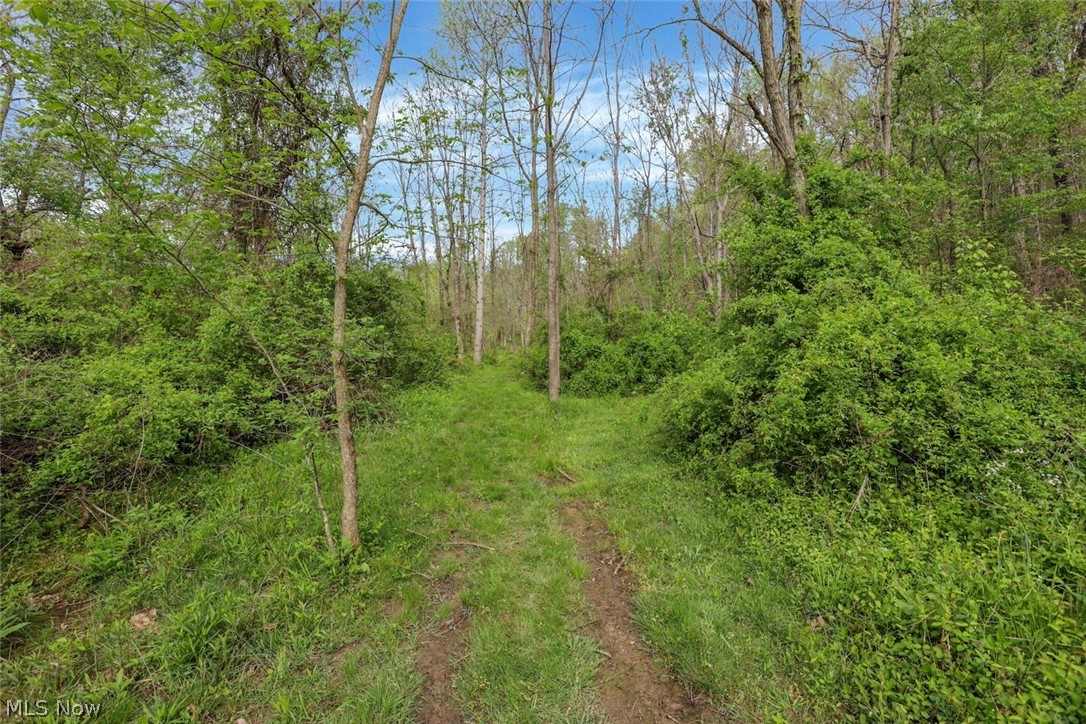 6879 Beard Price Road Glouster, OH 45732 - Photo 23 of 50