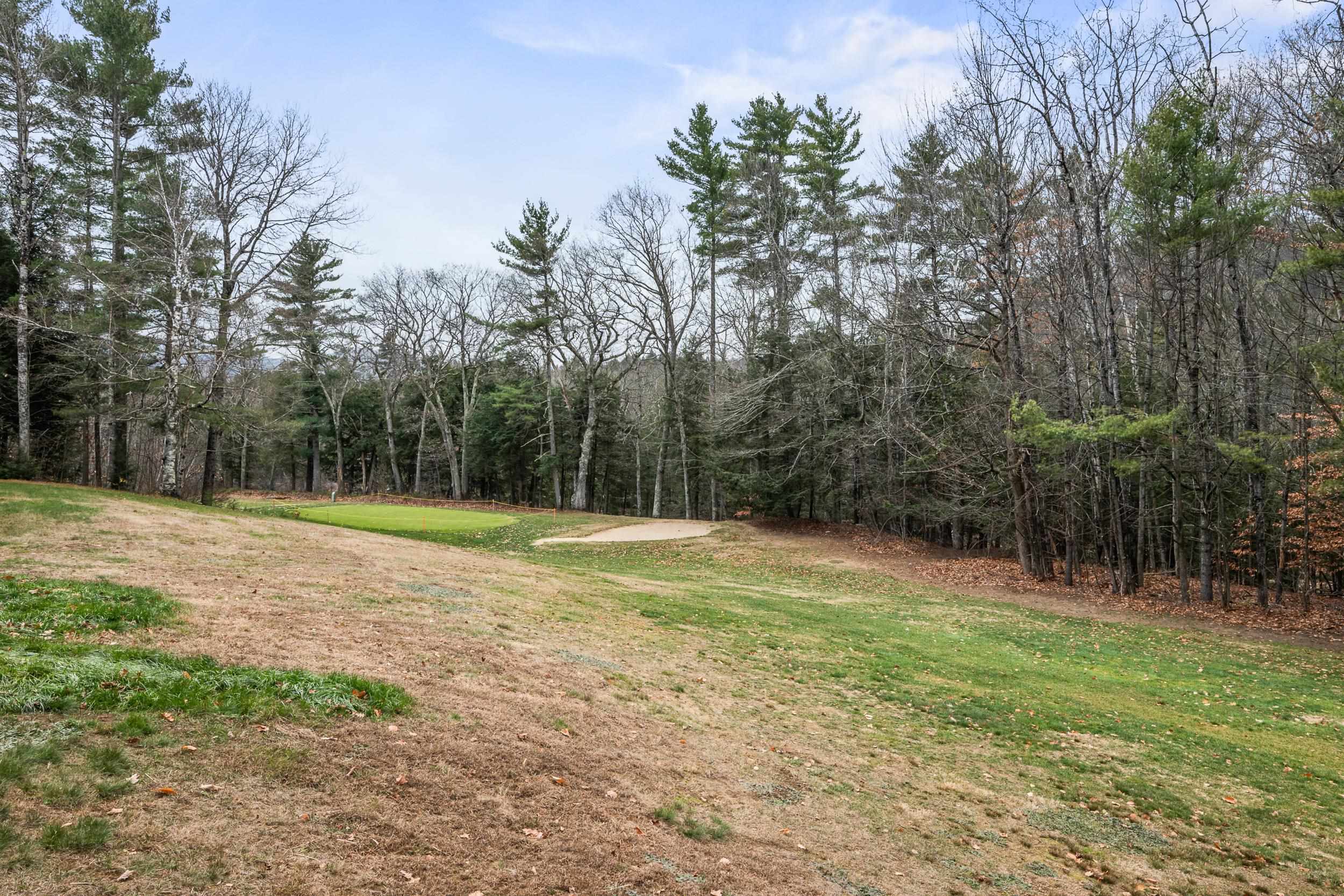 46 Linderhof Golf Course Road, Unit D5 Bartlett, NH 03838 - Photo 28 of 30