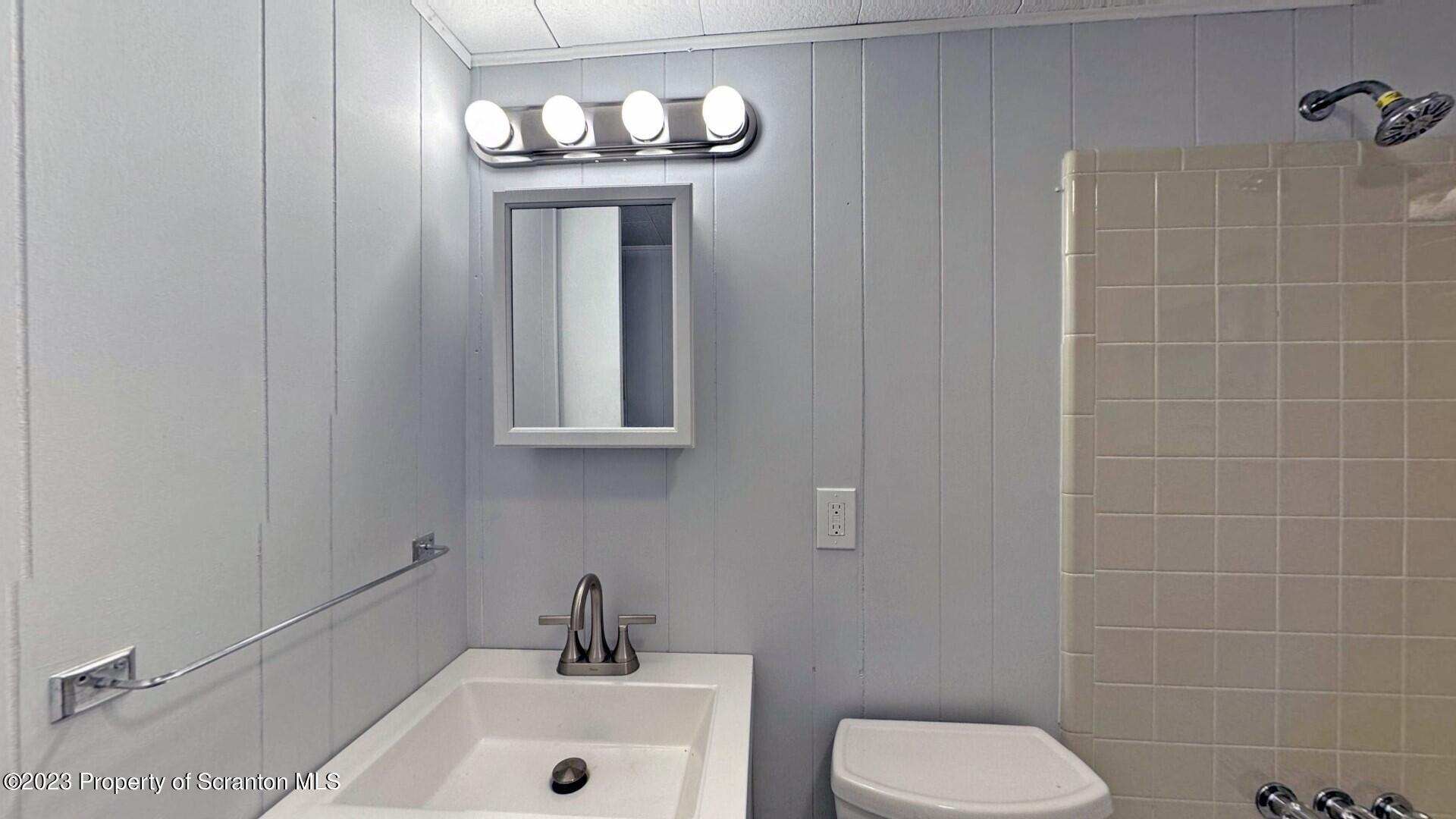 1013 Hemlock Way Newfoundland, PA 18445 - Photo 33 of 44 a bathroom with a sink a toilet and mirror