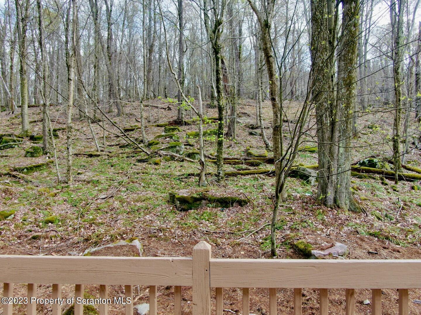 1013 Hemlock Way Newfoundland, PA 18445 - Photo 8 of 44 a view of a yard with wooden fence and plants
