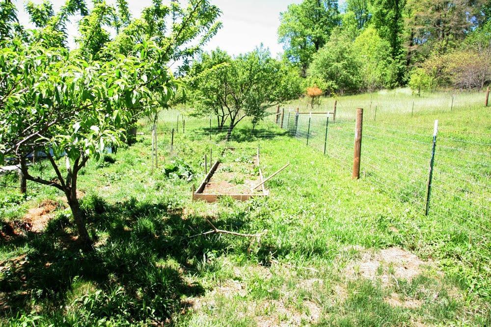 675 Willow Springs Road Elizabethton, TN 37643 - Photo 21 of 25 11