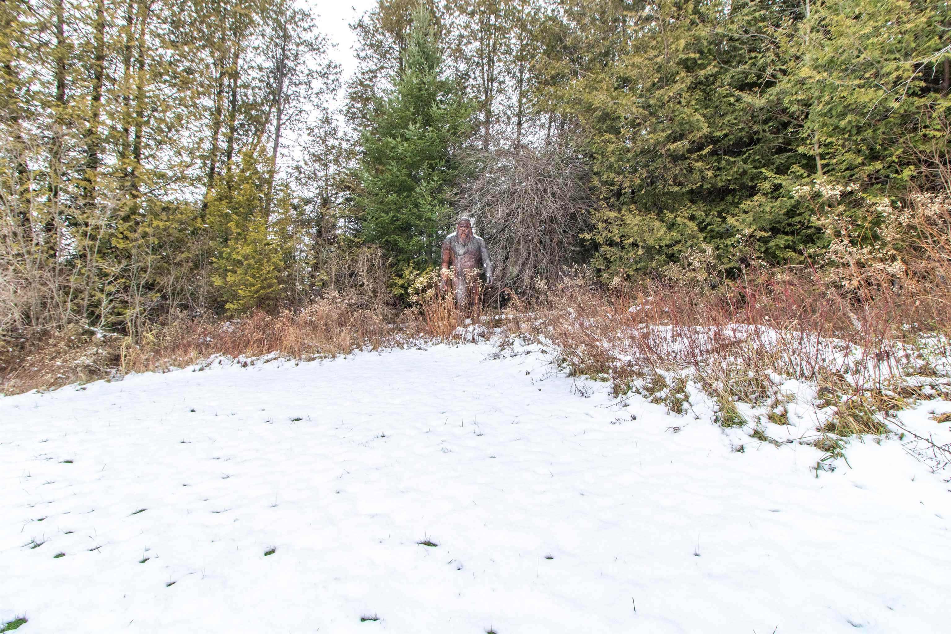 199 Hardwick Farms Road Hardwick, VT 05836 - Photo 52 of 52