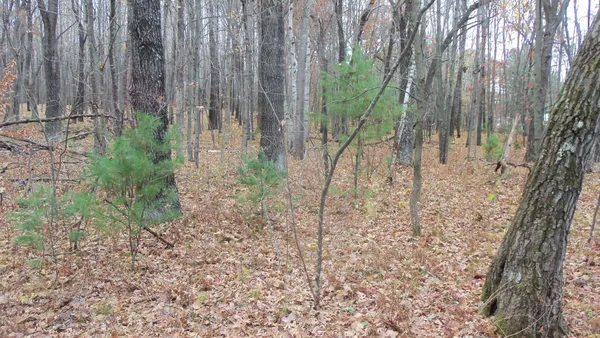 $32,900 | Lot 8 Herman Johnson Road, Siren, WI 54872