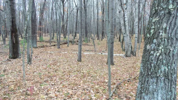$32,900 | Lot 8 Herman Johnson Road, Siren, WI 54872