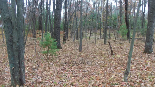 $32,900 | Lot 8 Herman Johnson Road, Siren, WI 54872