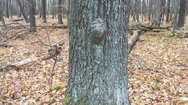 $32,900 | Lot 8 Herman Johnson Road, Siren, WI 54872