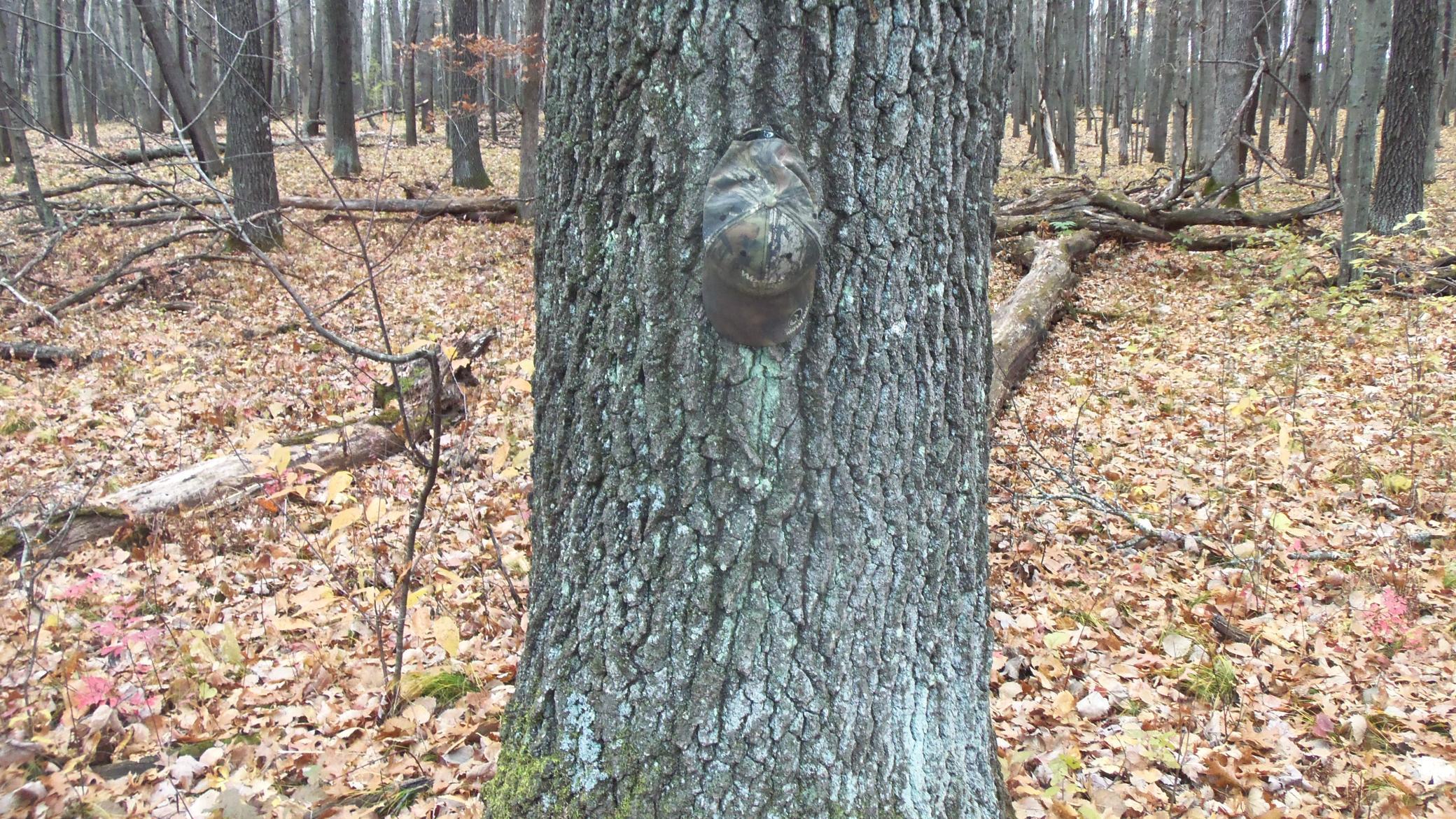 Lot 8 Herman Johnson Road Siren, WI 54872 - Photo 7 of 8