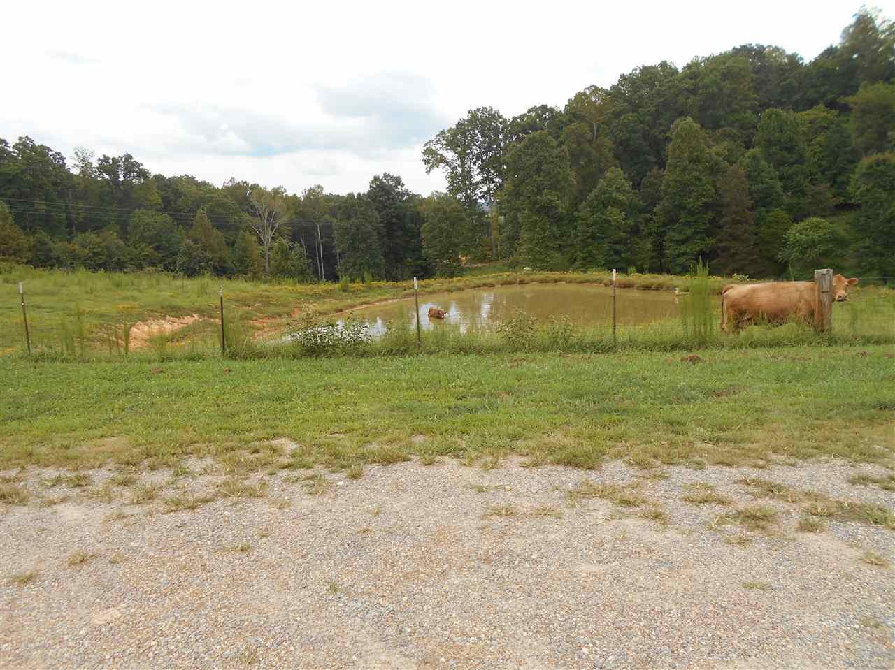 511 Whaley Road Southeast Ten Mile, TN 37880 - Photo 5 of 20 a view of a field with grass