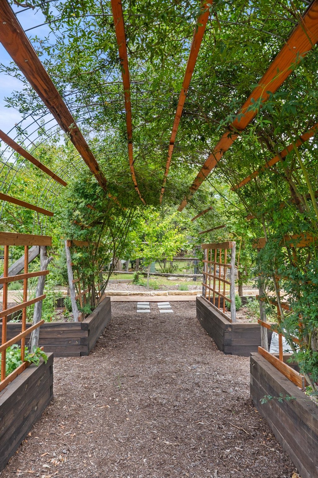 290 Sunset Ridge Dripping Springs, TX 78620 - Photo 36 of 37 An enchanting pergola covered in lush greenery creates a serene garden pathway, inviting peaceful strolls.