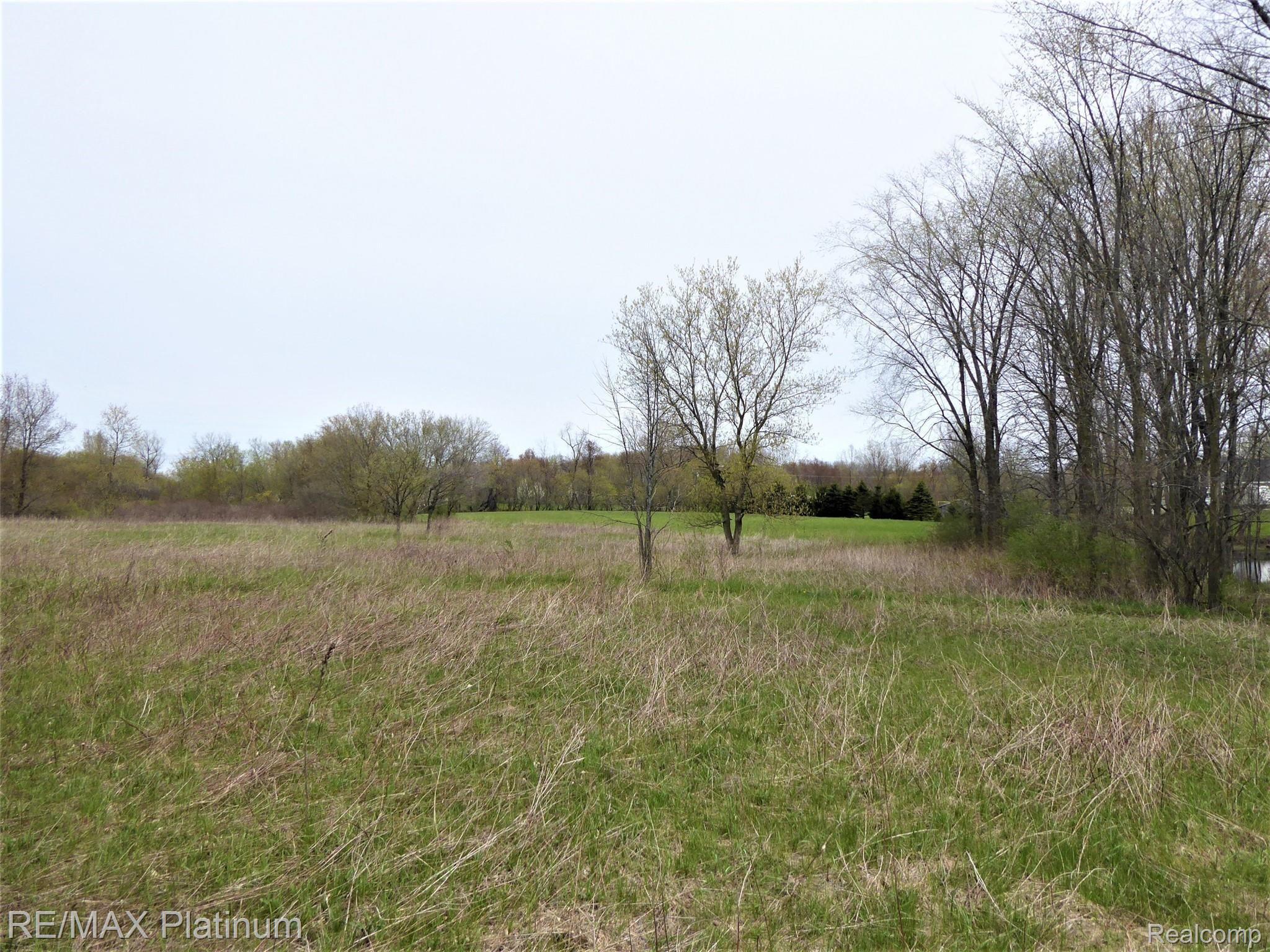 6 Mason Road Webberville, MI 48892 - Photo 6 of 6 Gallery Image 6