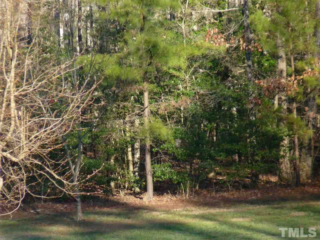 9.62-acres Burlington Road Roxboro, NC 27573 - Photo 2 of 3 Photo 2