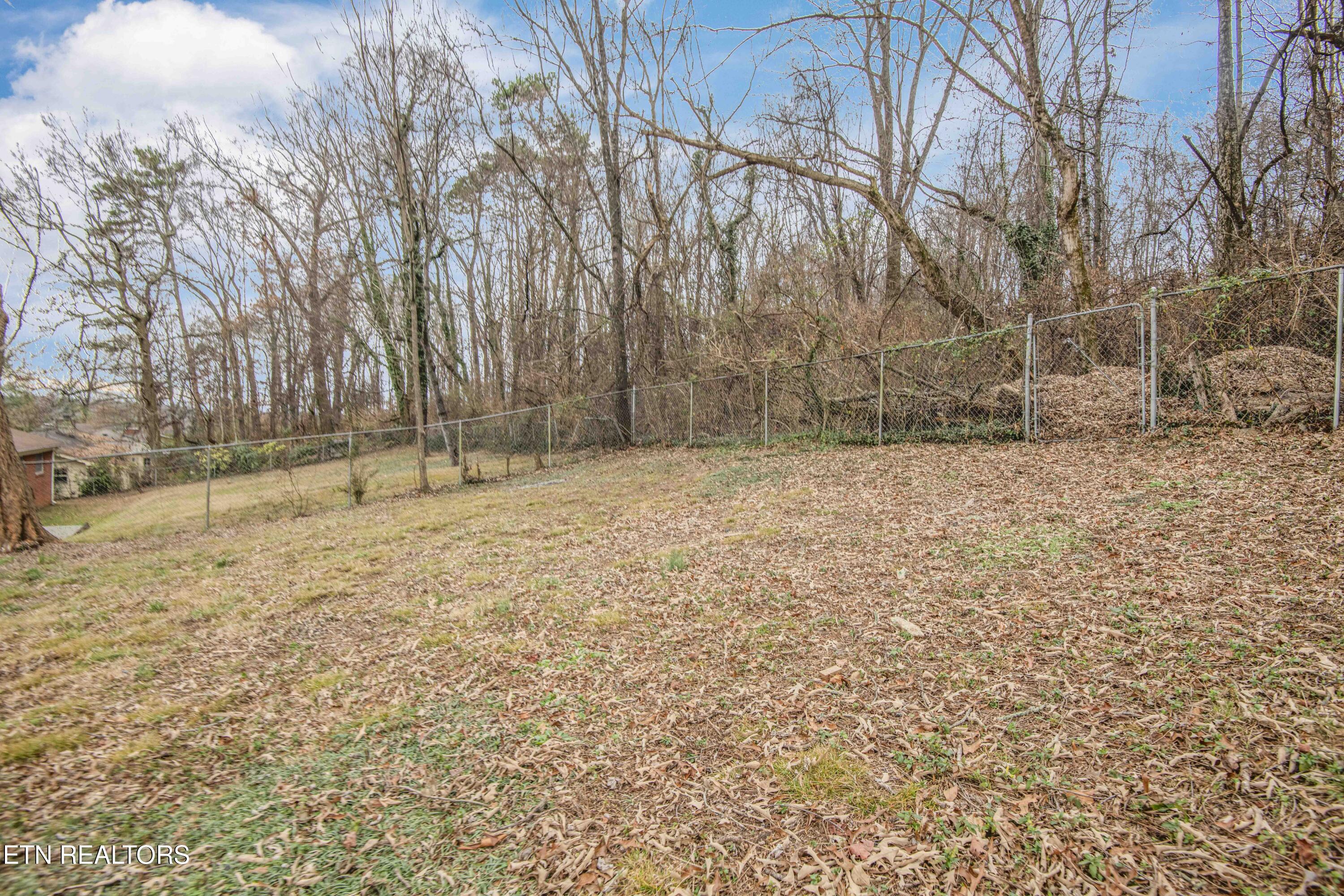 3429 Peachwood Road Knoxville, TN 37921 - Photo 25 of 25 Peachwood backyard 4