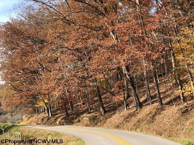 Tbd Holly Meadows Road Parsons, WV 26287 - Photo 7 of 21 Gallery Image 7