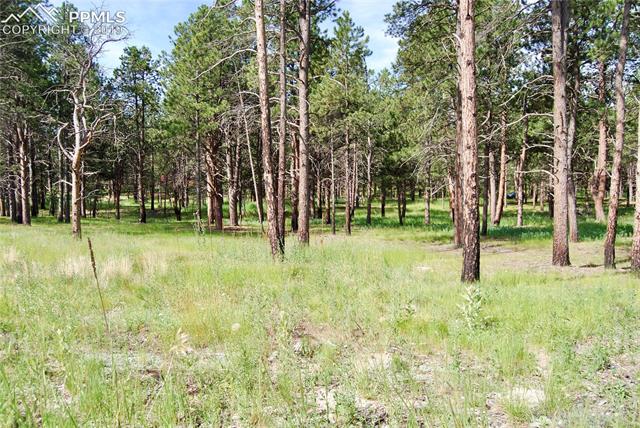 17185 Remington Road Colorado Springs, CO 80908 - Photo 5 of 8 Gallery Image 5