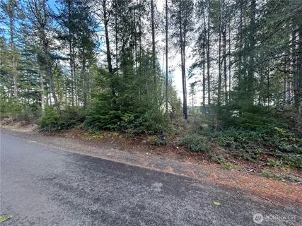 a view of a forest with trees in the background