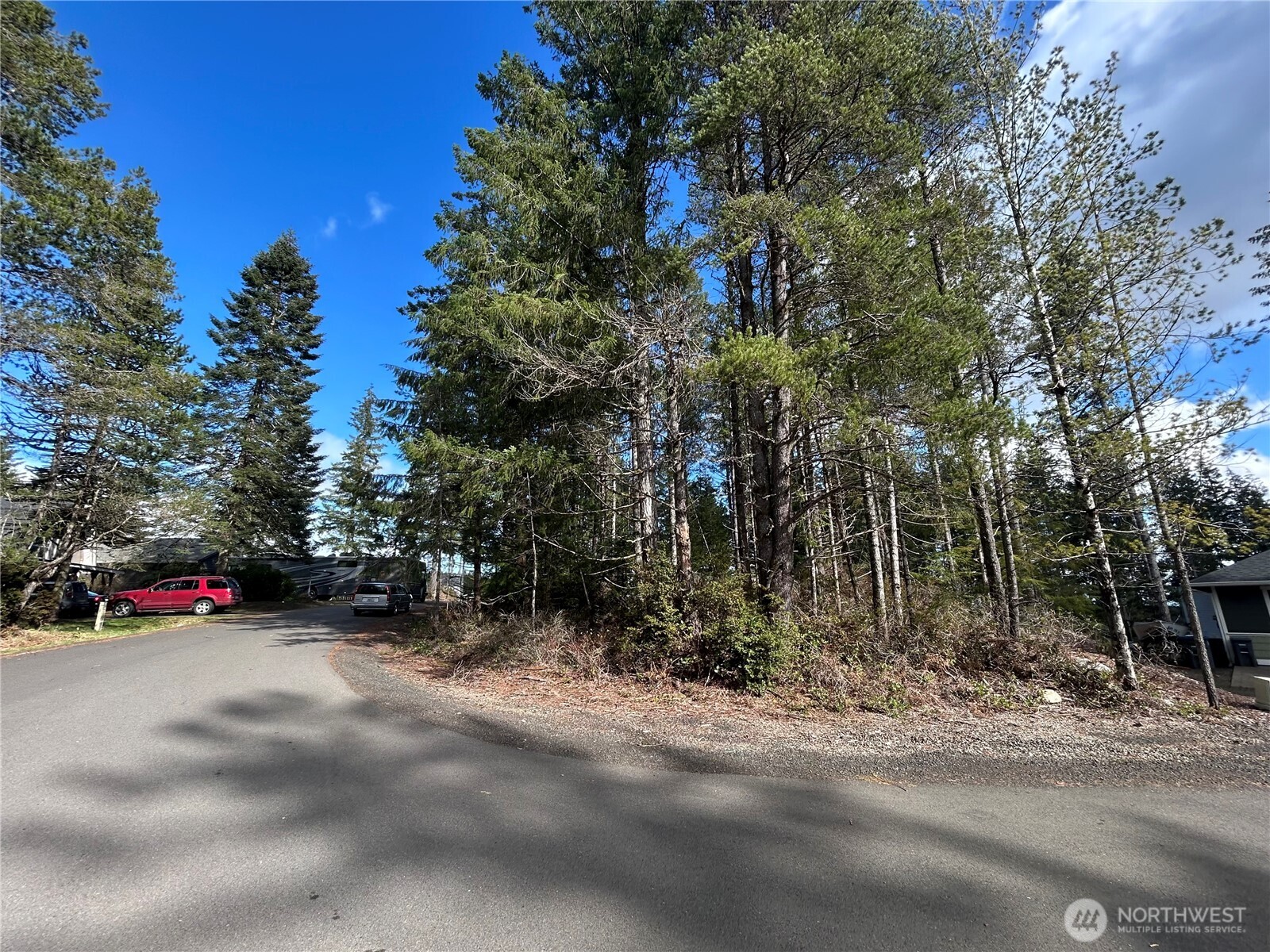 31 East Hemlock Court Union, WA 98592 - Photo 3 of 6 a view of road with trees