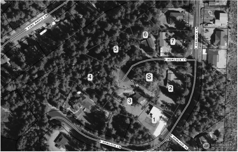 31 East Hemlock Court Union, WA 98592 - Photo 5 of 6 a picture of a tree