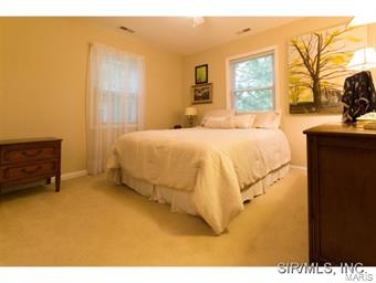 2912 Steppig Road Columbia, IL 62236 - Photo 16 of 24