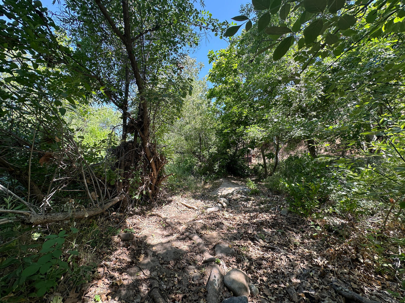 0 North Kaweah River Drive Three Rivers, CA 93271 - Photo 61 of 78 40846 Sierra Dr Three Rivers-large-010-0