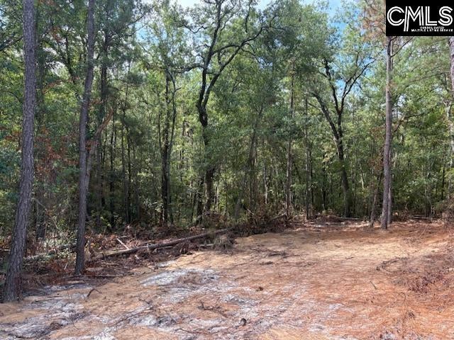 991 Ben Franklin Road Gilbert, SC 29054 - Photo 18 of 21 Gallery Image 18