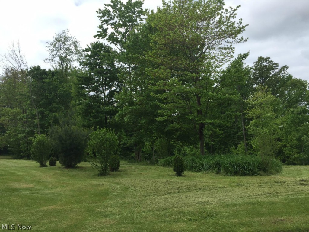 9433 Lowmiller Road Minerva, OH 44657 - Photo 2 of 4 PARTIALLY WOODED 4 ACRE PARCEL. YOU CAN HUNT OR MAKE TRAILS TO HIKE OR RIDE!
