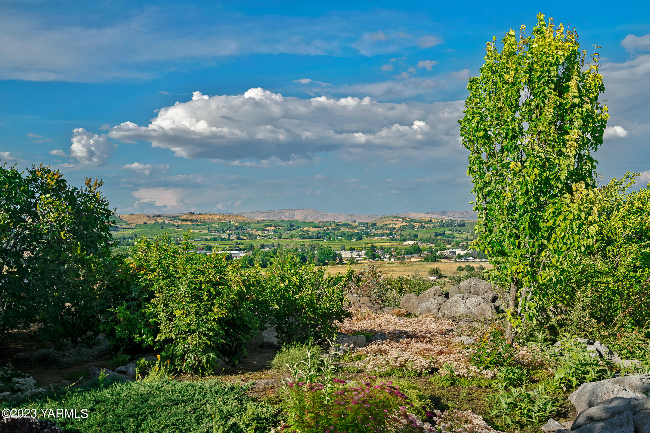 291 Orchard Street Yakima, WA 98908 - Photo 27 of 35 a view of a bunch of trees and bushes