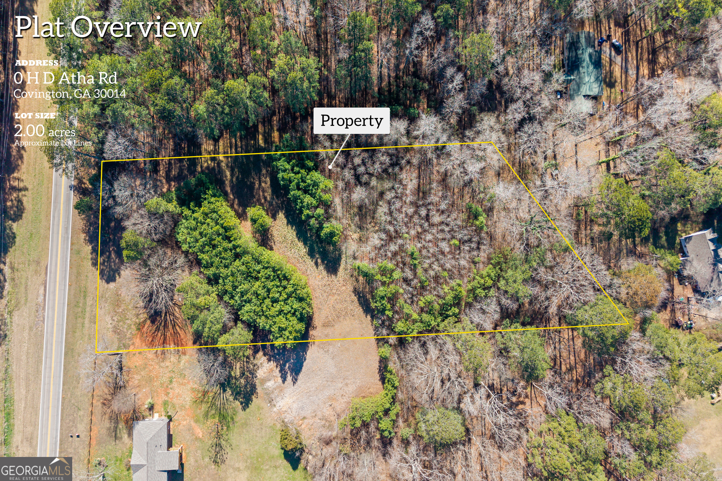 0 H D H D Atha Road Covington, GA 30014 - Photo 11 of 11 a view of a wall with plants and large trees