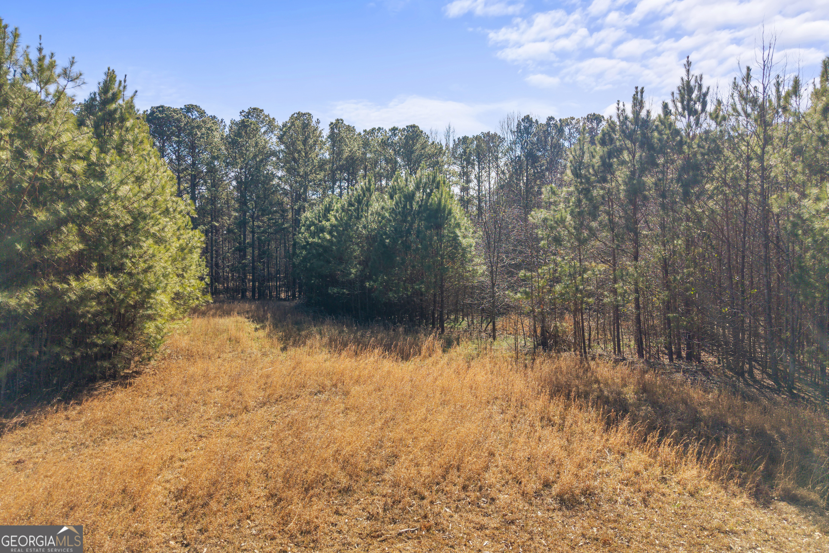 0 H D H D Atha Road Covington, GA 30014 - Photo 3 of 11 a view of lake with green space