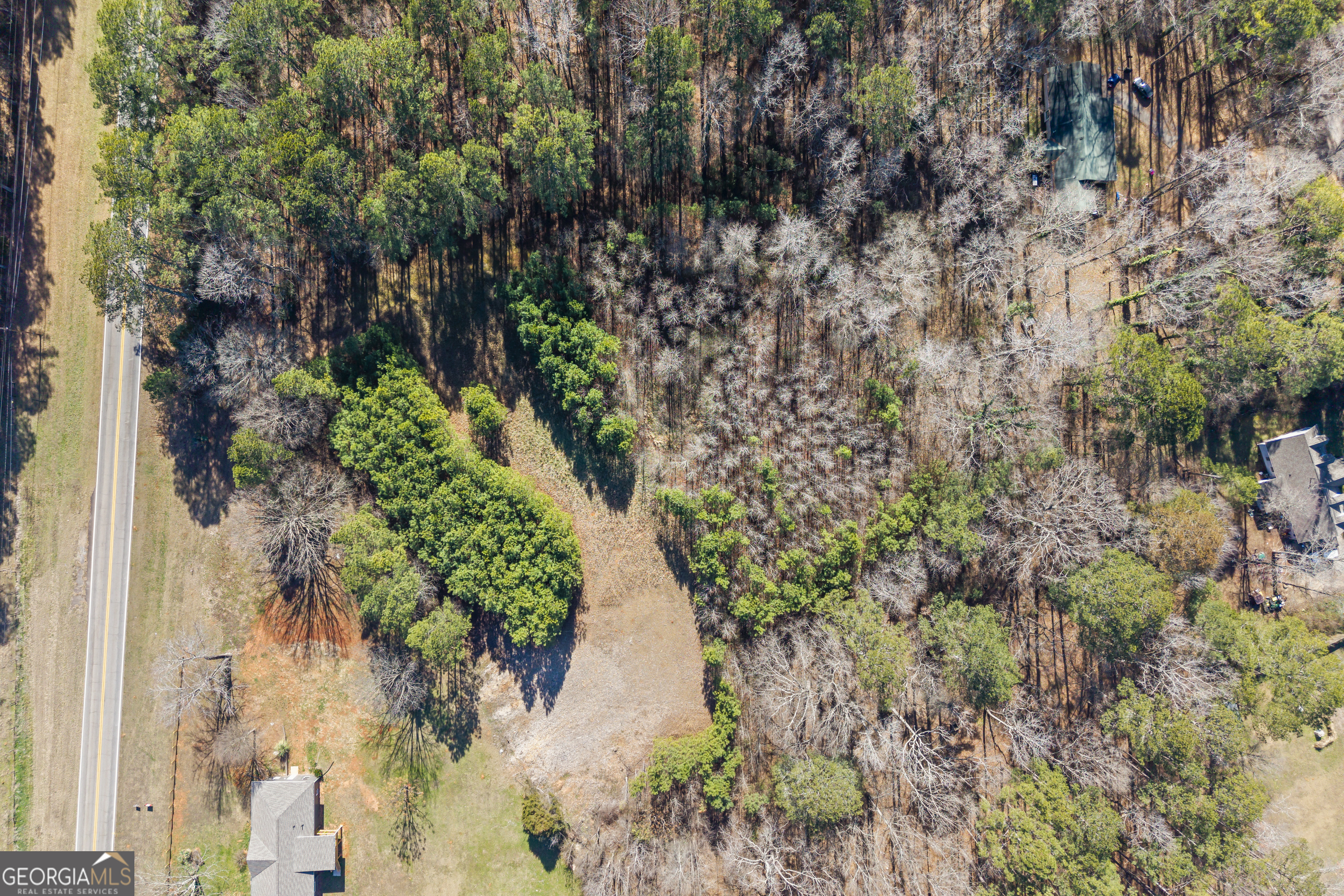 0 H D H D Atha Road Covington, GA 30014 - Photo 9 of 11 a view of a lake with large trees