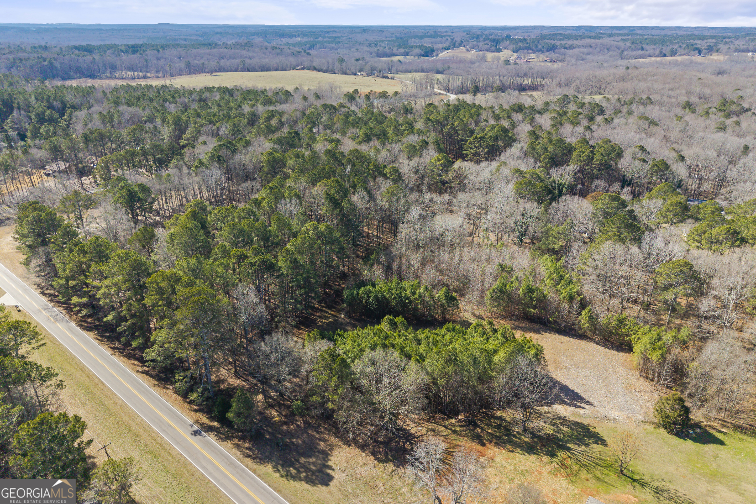 0 H D H D Atha Road Covington, GA 30014 - Photo 10 of 11 a view of a yard with an outdoor space