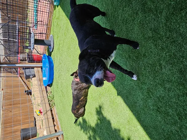 with view of a patio