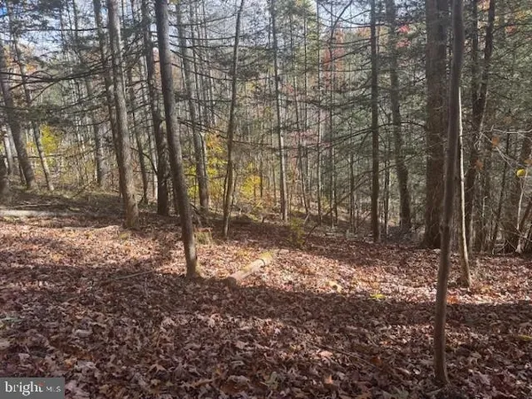 a view of backyard of house