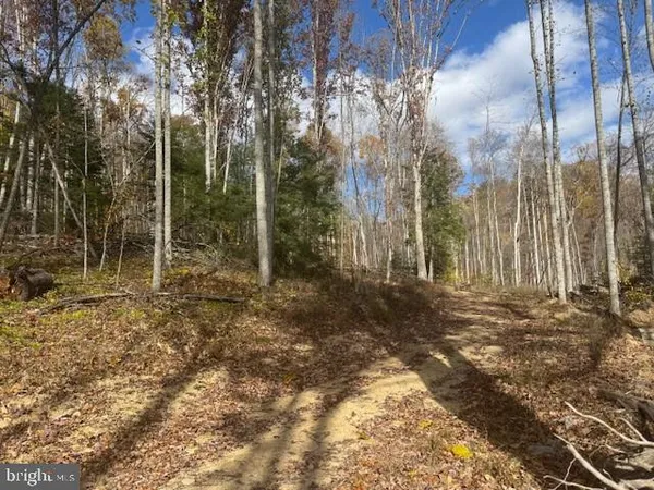 a view of outdoor space with trees