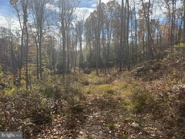 a view of a sky view