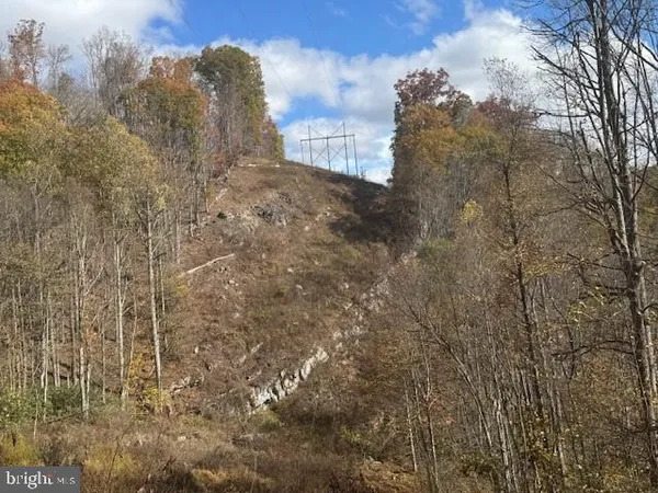 a view of backyard with green space