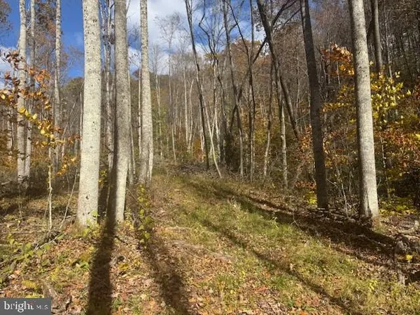 a view of outdoor space with trees
