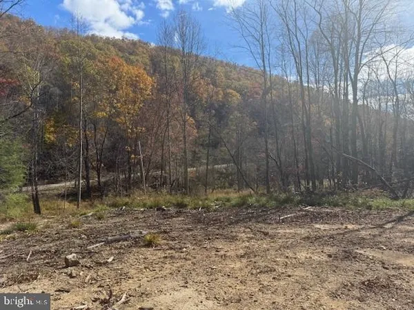 a view of outdoor space and trees