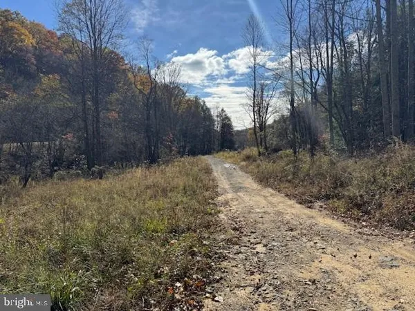 a view of a yard with trees