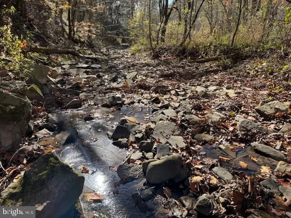 a view of a yard with trees