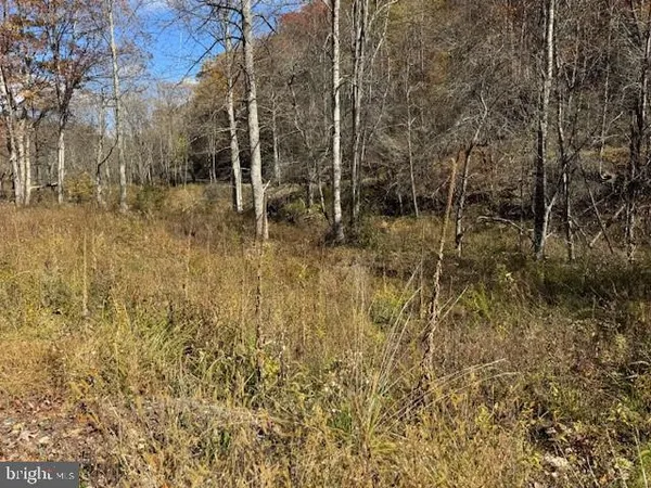 $200,000 | Tbd Tbd Adolph Rd Mill Creek, Mill Creek, WV 26280