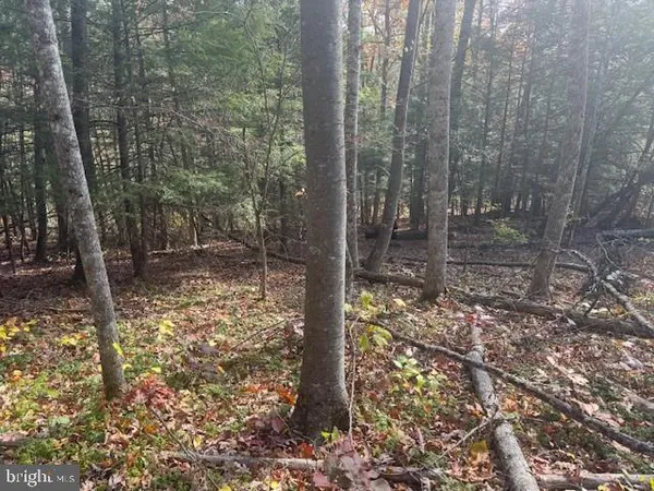 a view of a yard with wooden fence